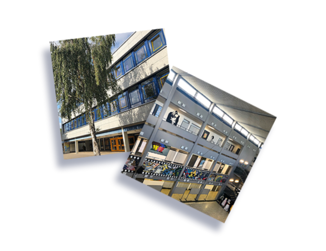 Kurzcurricula, Europaschule | Oberstufe | Cusanus-Gymnasium Erkelenz